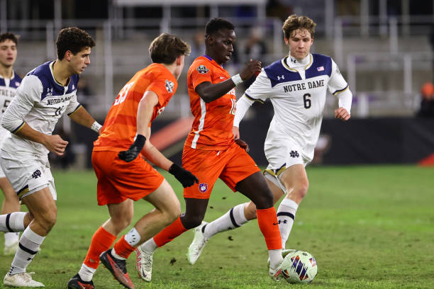 提供了巨大 提供了巨大